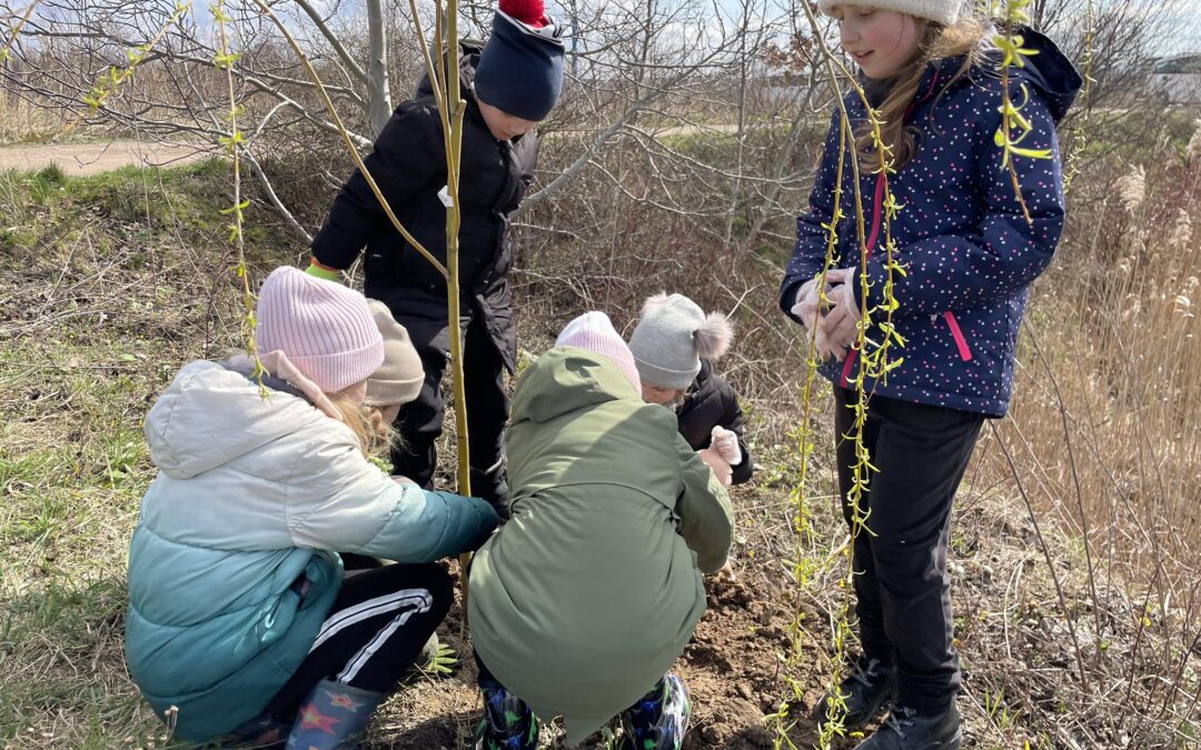Sadzenie drzewek z dziećmi na Brzegach